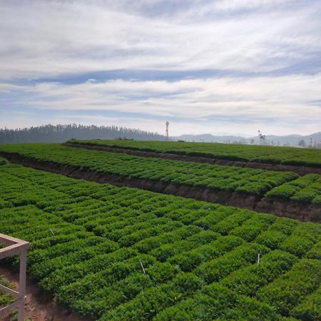 Brown Tree Resorts Ooty Exterior foto